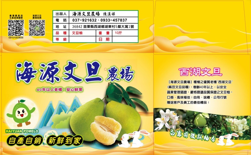 文旦柚包裝