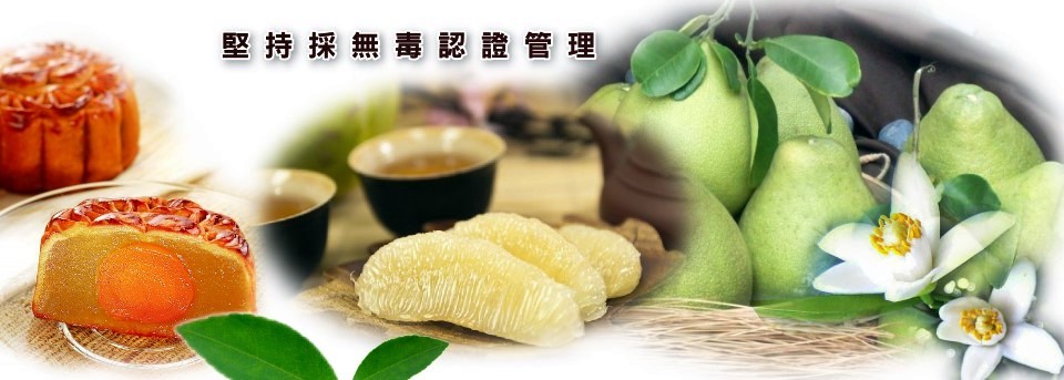 海源農場~苗栗西湖文旦柚
